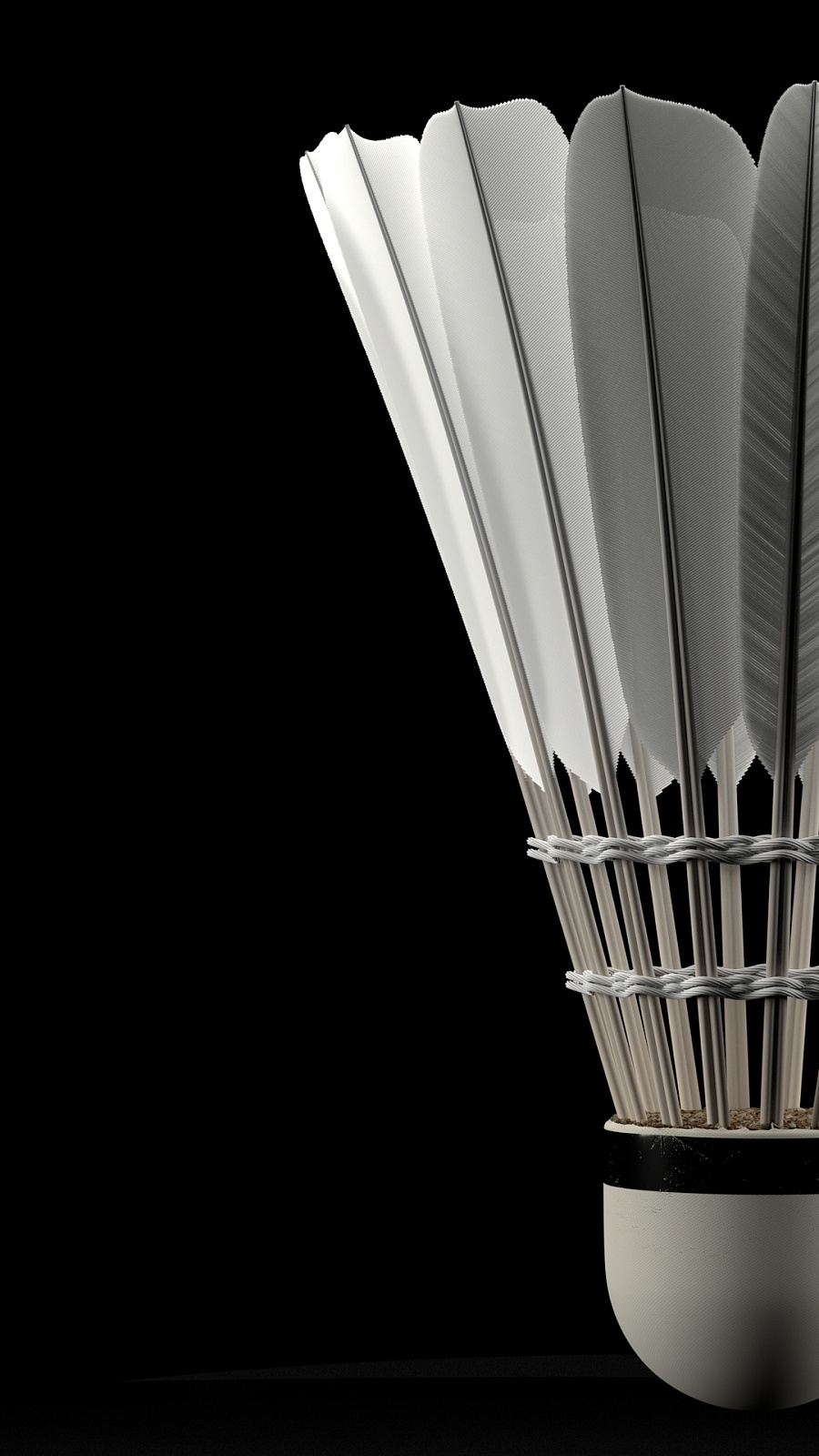 加之间的冷 加之间的冷