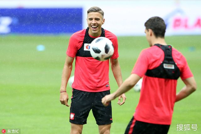 对帕尔默的 对帕尔默的