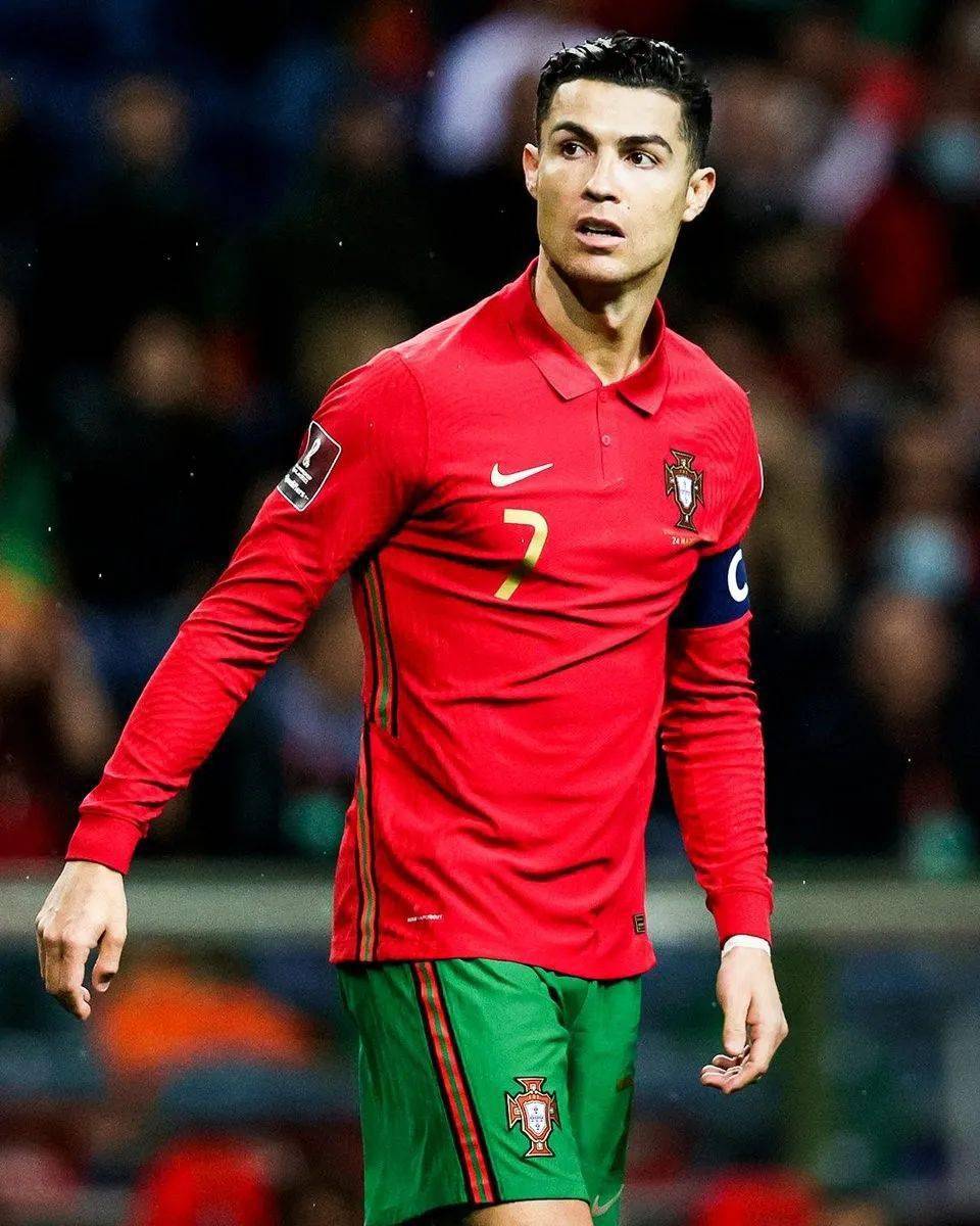 可能提出交 可能提出交