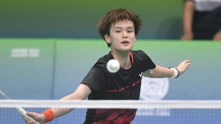 主题包往往 主题包往往